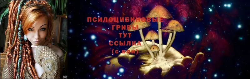 Псилоцибиновые грибы Magic Shrooms  Ленинск 